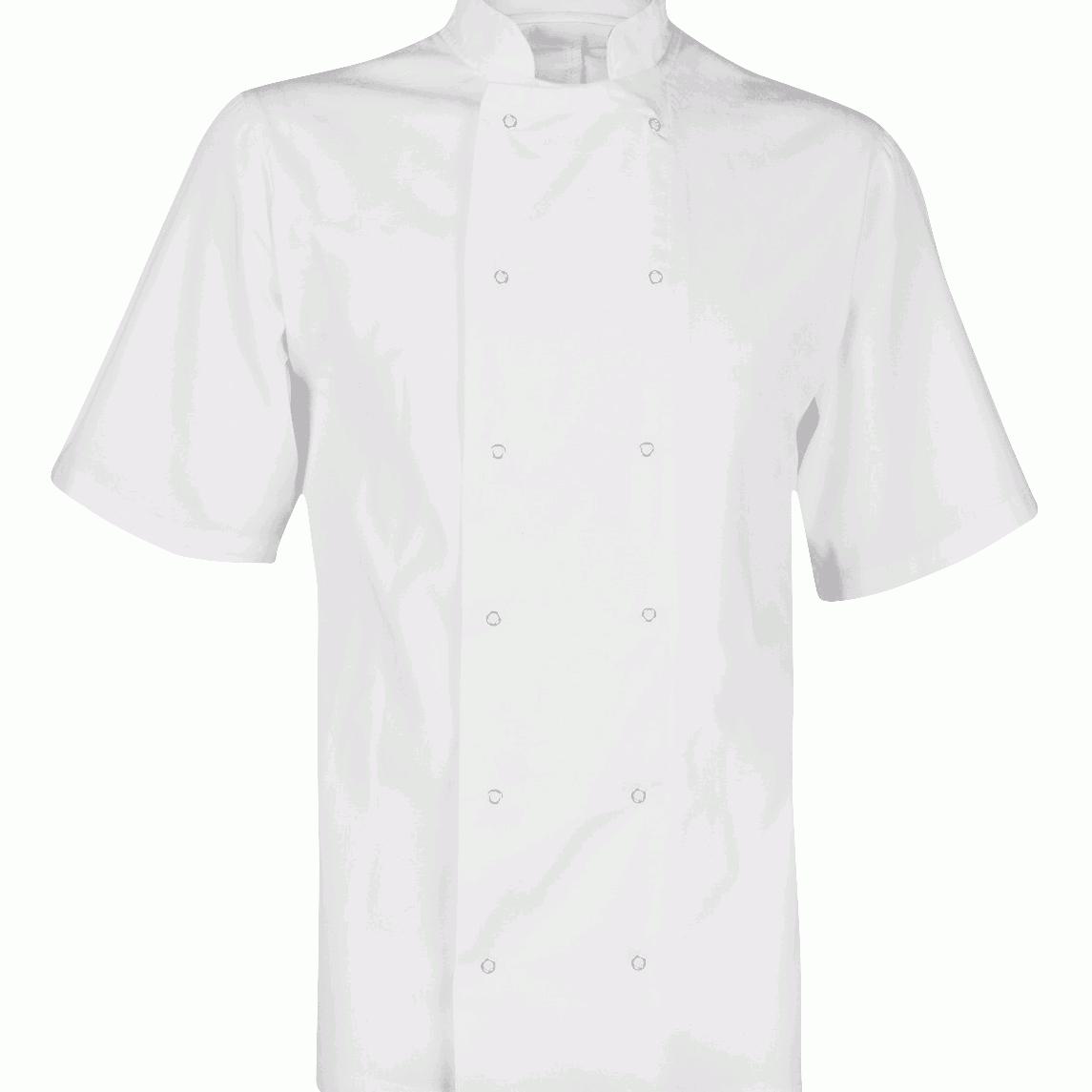 Chef's Jacket: Unisex Short Sleeve