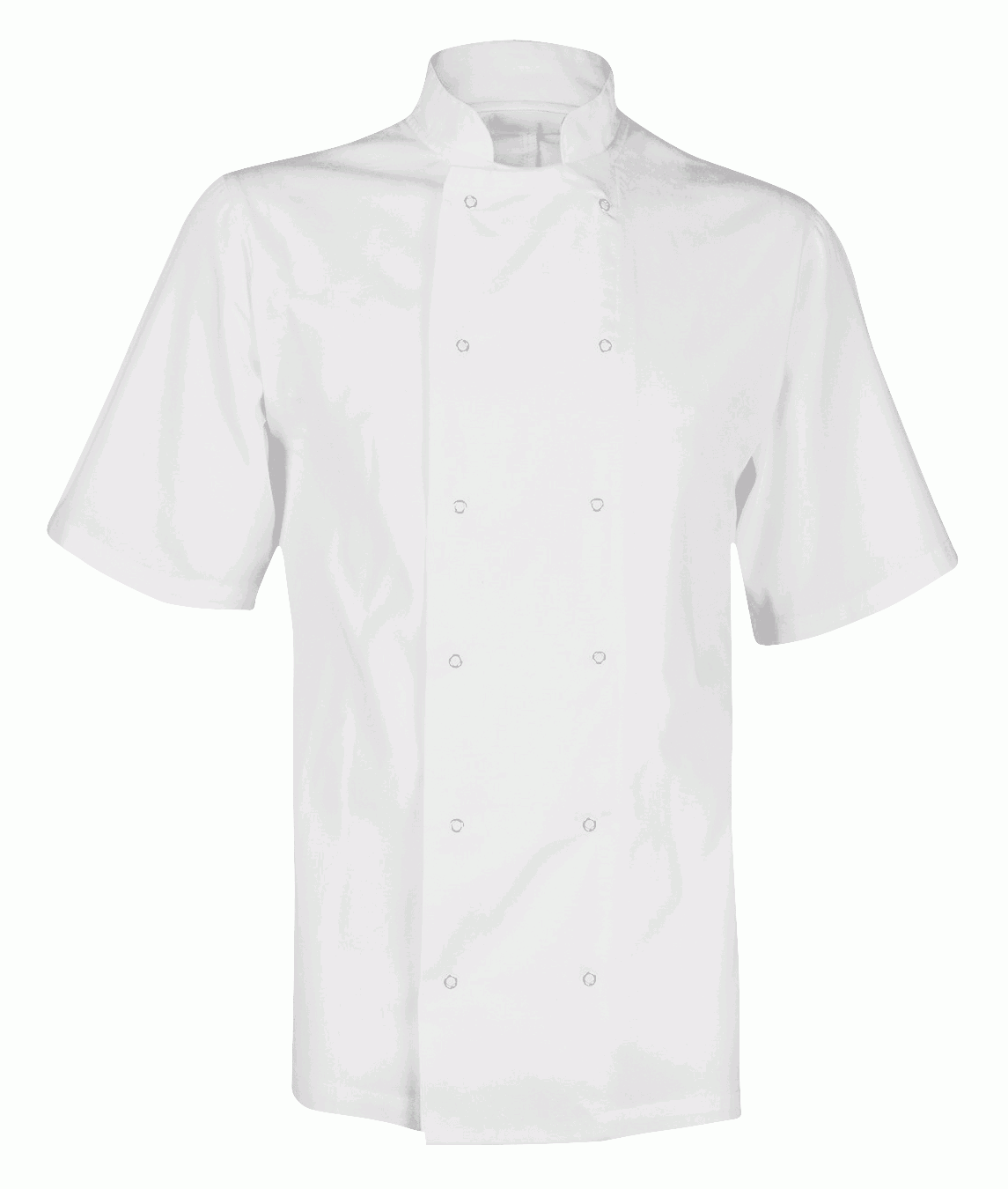 Chef's Jacket: Unisex Short Sleeve